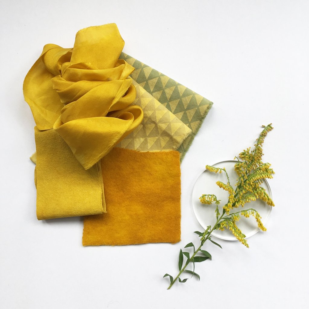 Foraging for dye plants