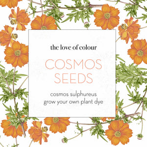 Cosmos seeds - cosmos sulphureus