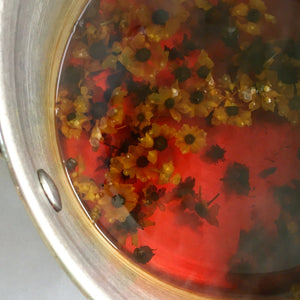 Coreopsis Seeds - coreopsis tinctoria