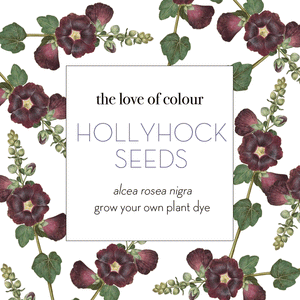 Black Hollyhock Seeds - alcea rosea nigra
