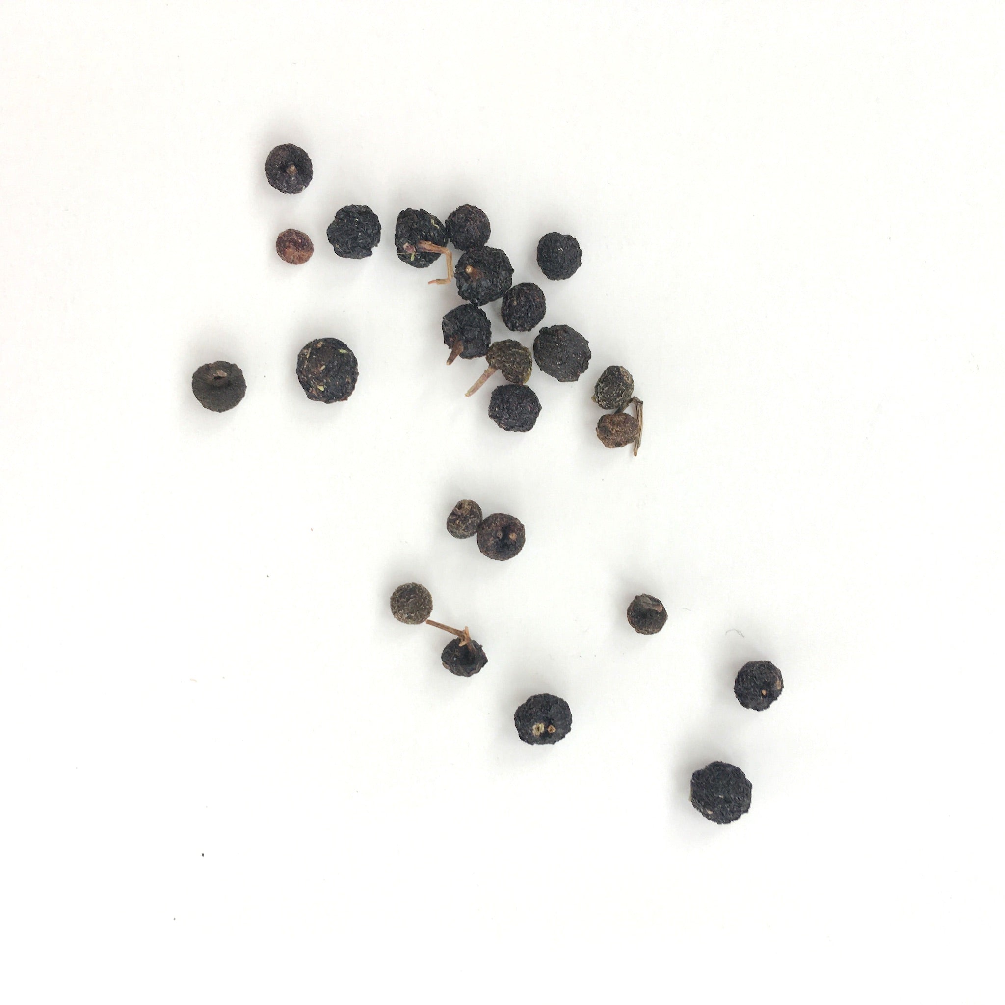madder plant seeds Madder Seeds