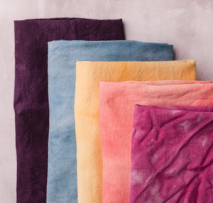 Make a Rainbow with Natural Dyes