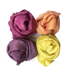 Natural Dye Kit