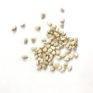 Safflower seeds - carthamus tinctoria